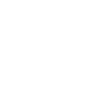 EBO Developments