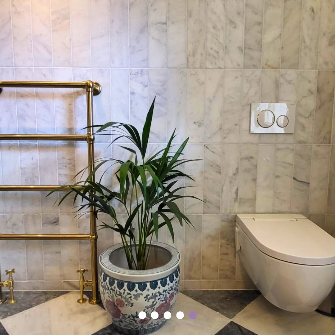 Brass towel rail, wall-hung toilet and decorative planter